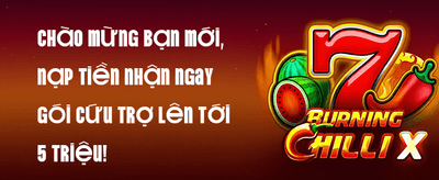 Bonus Buy Slots